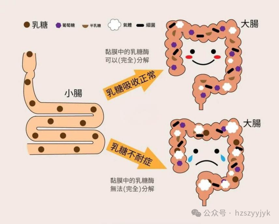 1749450669514766.png 3e41c1ea3719f7aa8f5fe8d42ac7f11e.png