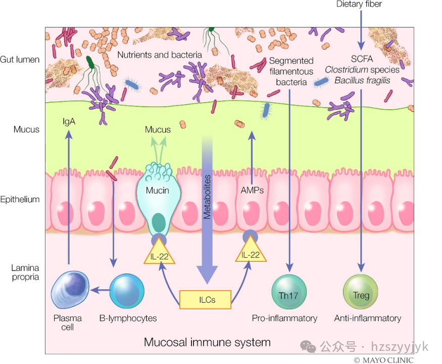 1749450742740069.png 9f93a5d1bcda2427465f4282cceb0fff.png