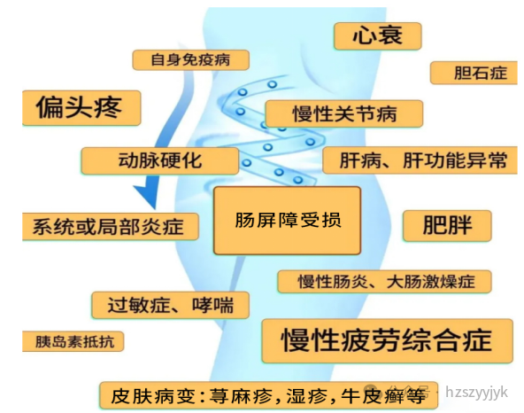 1749450831193021.png c108366549ff4696a9a214d7288c8818.png