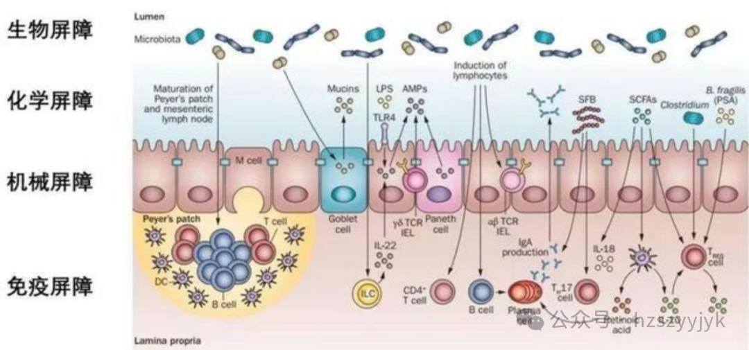 1749451354471858.png b8362cec4372bb6332114b3967926b59.png