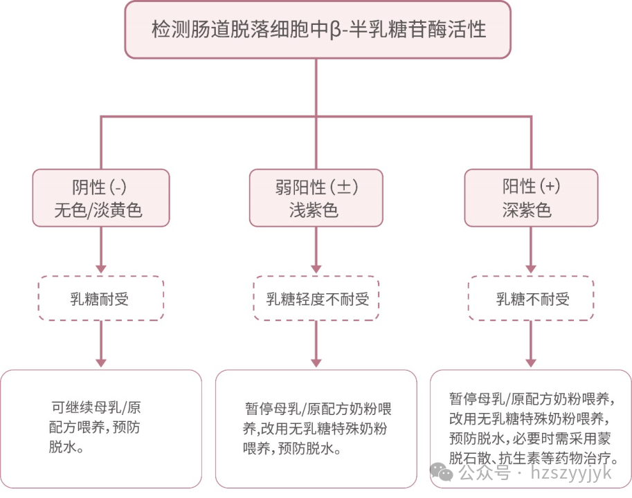 1749451425350667.png 9fd23a0bed9998ba1c2bc35f7f29bd24.png