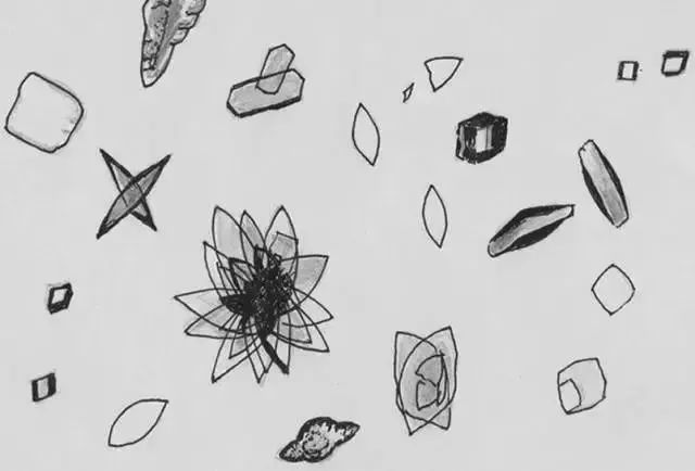 1749452417619082.jpg 944d6693ef8b2044961161bc7482841f.jpg