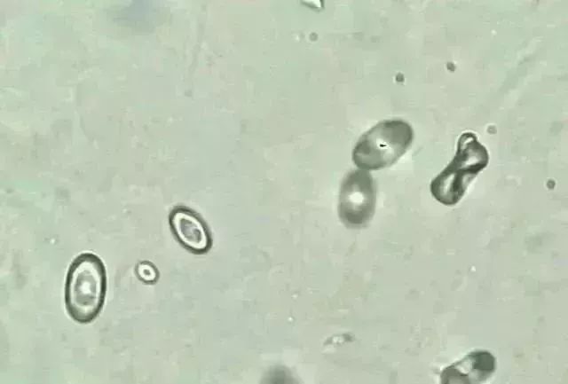 1749452551867512.jpg b66c14bfc7a1082a076edb1c52d1e270.jpg