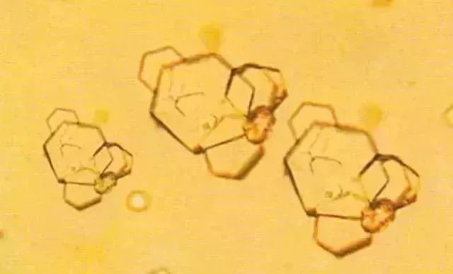 1749452790576027.jpg d8f6e32ab6221ca6e36b78c31bc43fb0.jpg