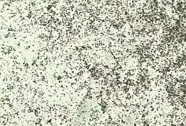 1749453013464241.jpg 133ae41a9133b34ab99a5216026178c4.jpg