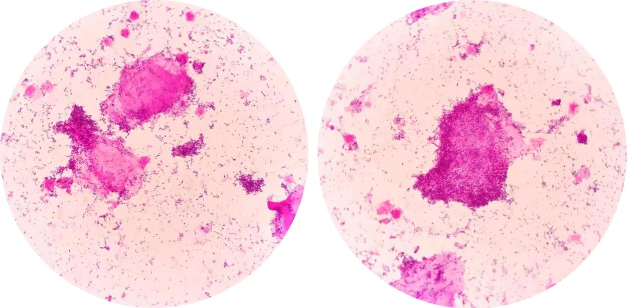 1750819010849595.png 6d7e1c111dfdd5e9f4cb700e76bf5b3f.png